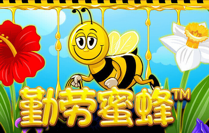 今晚澳门三肖三码开一码